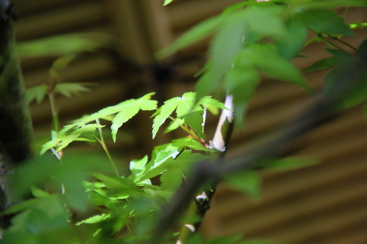 Kyo Machiya Ryokan Yuan Kyoto Extérieur photo
